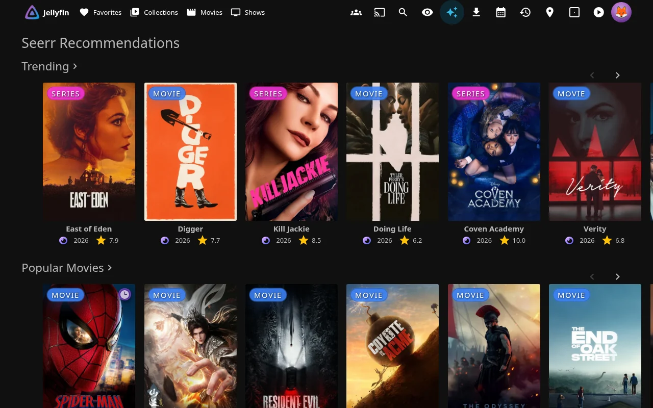 Seerr recommendations and similar items on a detail page